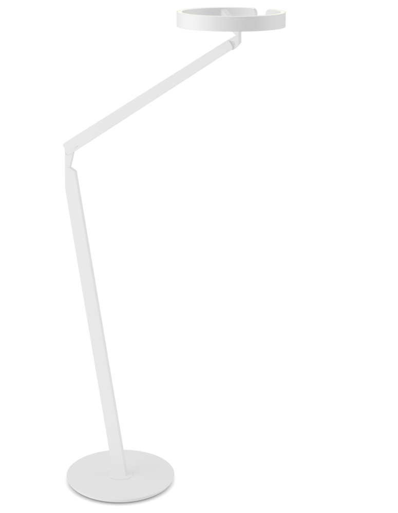 gioia lettura - Occhio