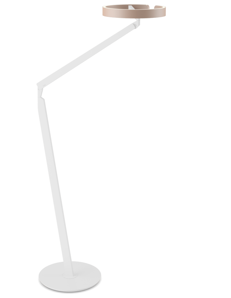 gioia lettura - Occhio